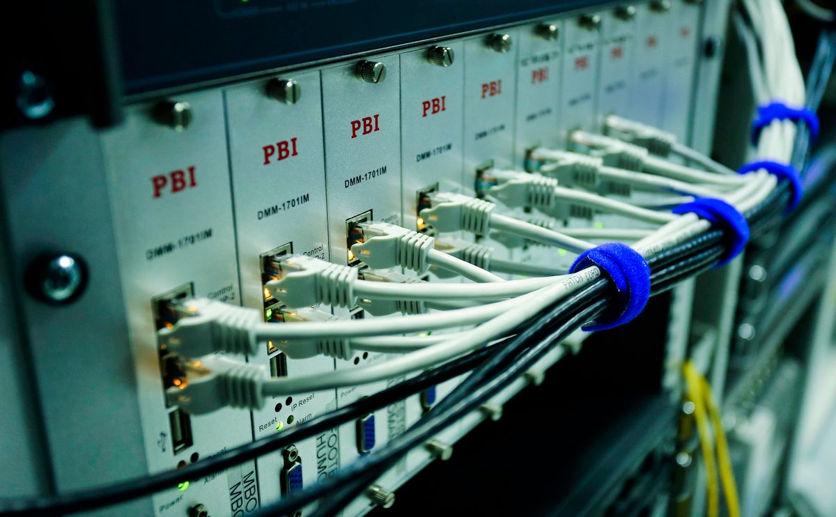 Monochrome photograph: Network cables connected to a switch.